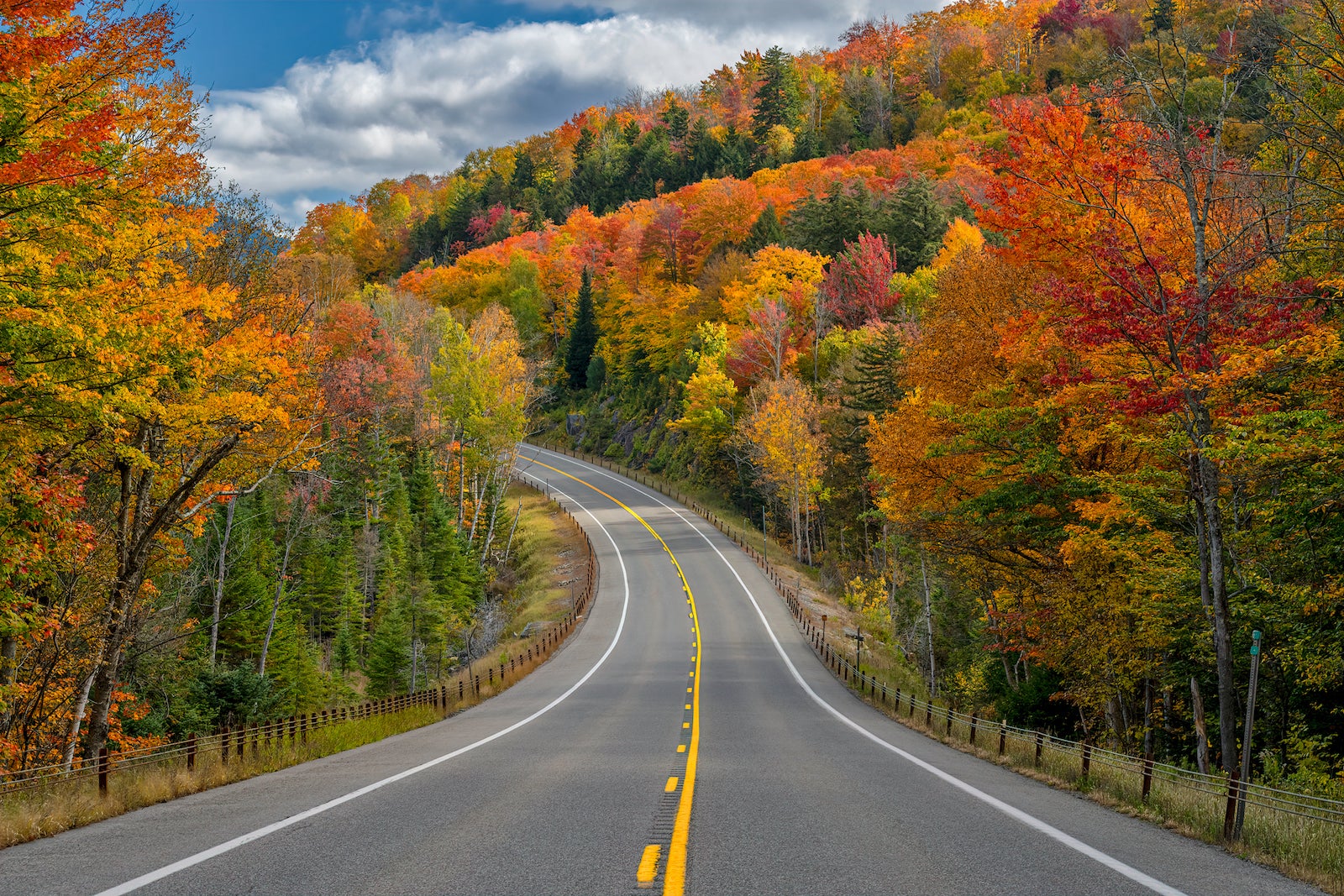road with fall foliage