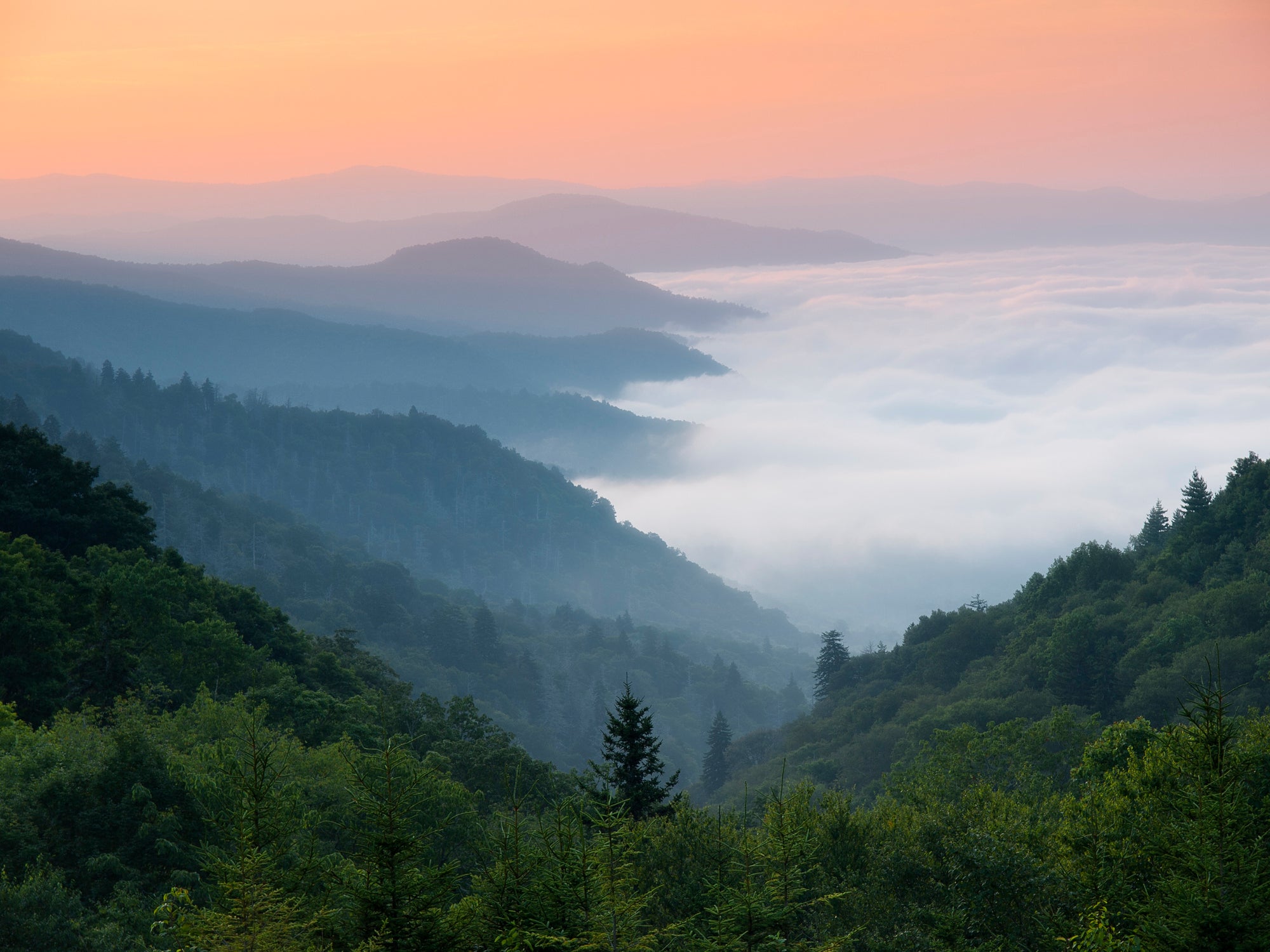 Blue Ridge Mountains at sunrise, Blue Ridge Parkway, Great Smoky Mountains National Park, North Carolina, Appalachian Mountains, USA