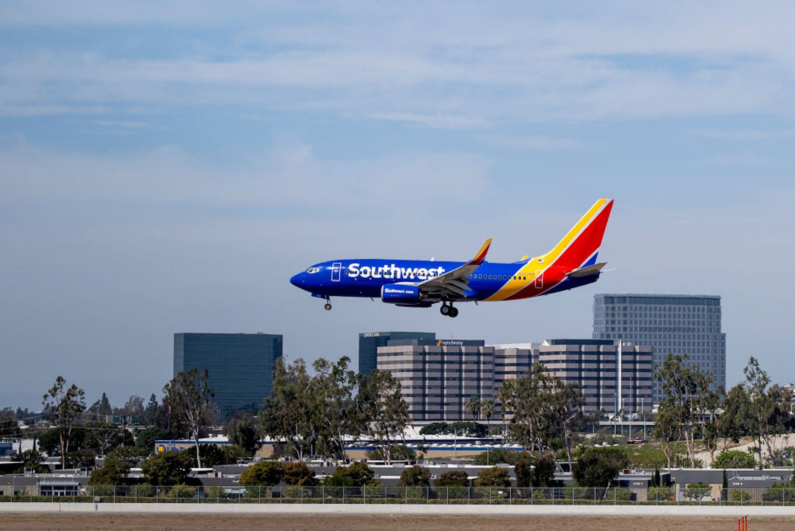 Can I Use My Southwest Companion Pass for My Dog? The Points Guy