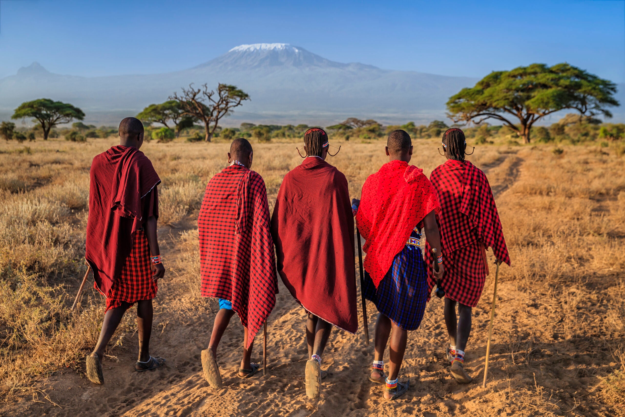 afrika safari und strand