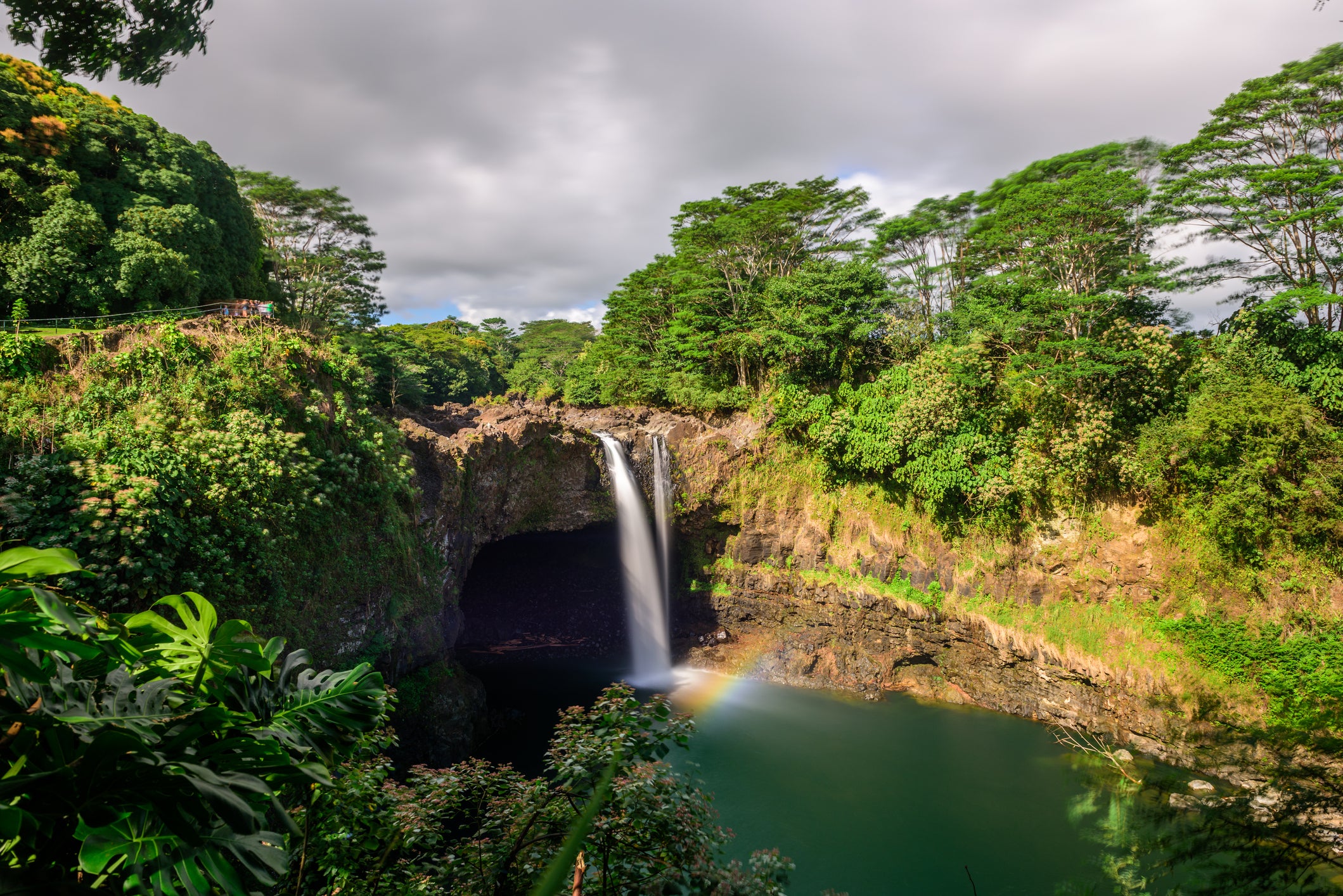 holland america cruise to hawaii reviews