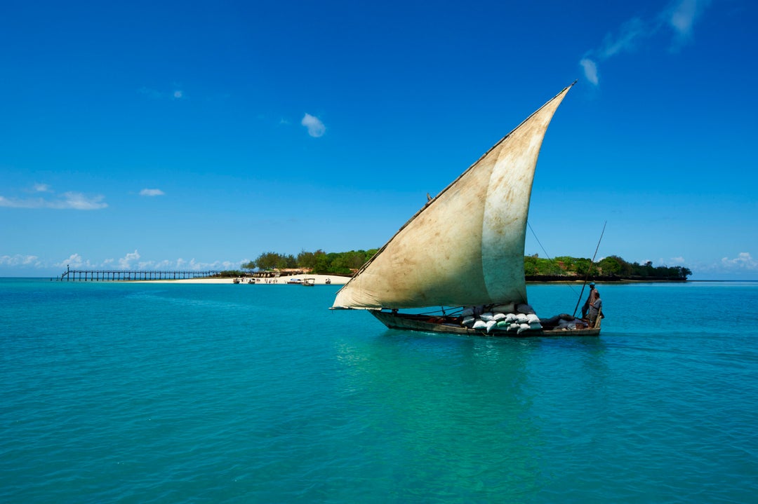 The 12 best bushtobeach safari destinations to visit The Points Guy