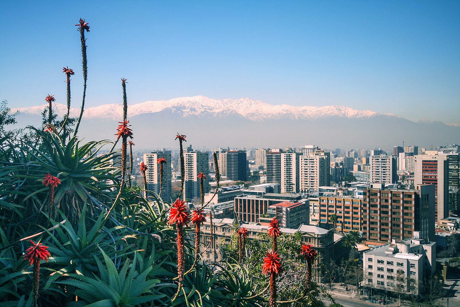 View of the Andes, plants and city from Santa Lucia Hill, Santiago, Chile