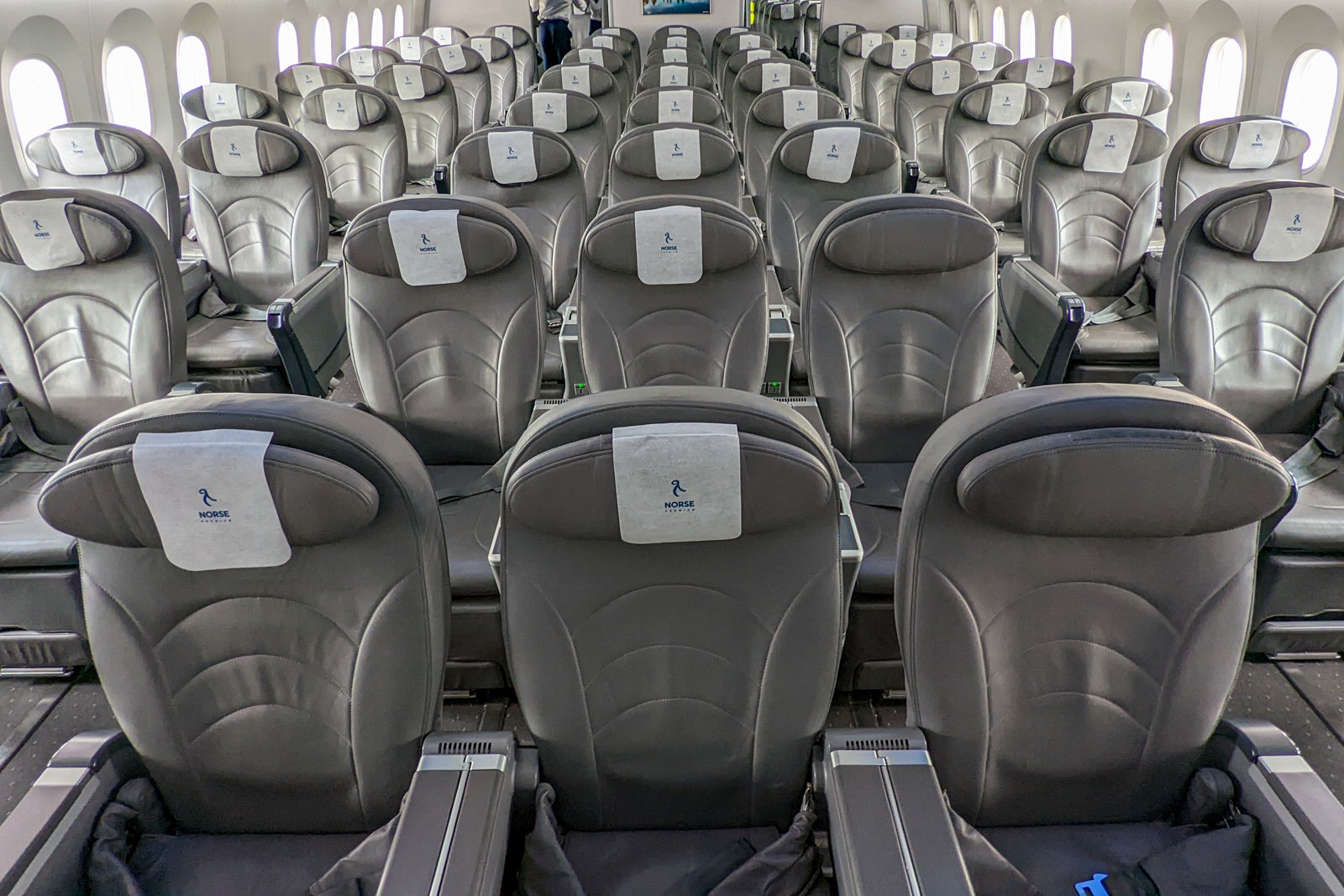 A review of Norse Atlantic Premium on the 787 from London to New York