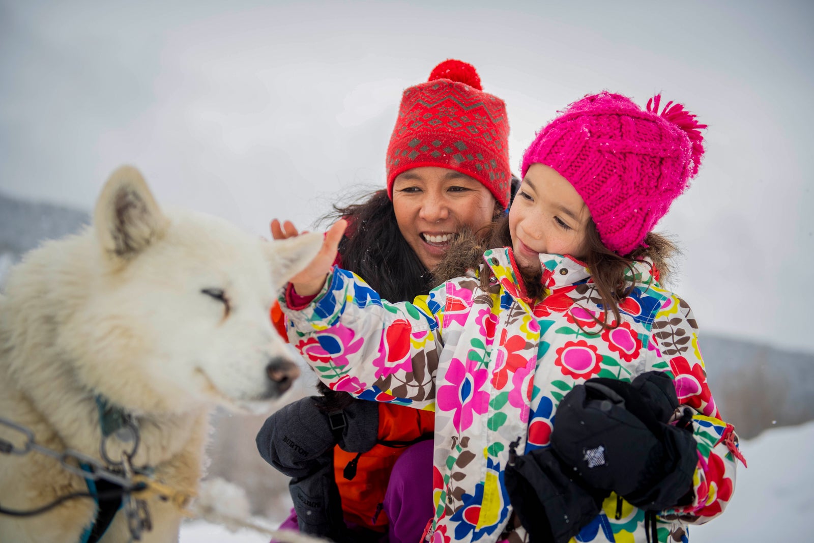 child petting dog in the snow