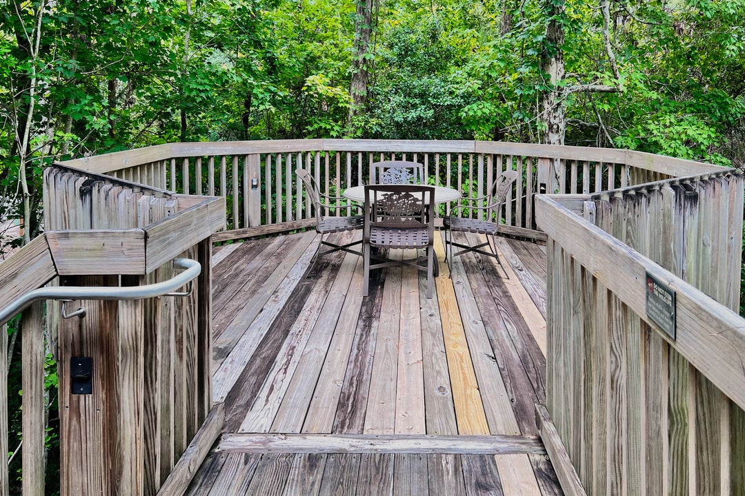 A hidden gem in plain sight What it's like at Disney World's Treehouse
