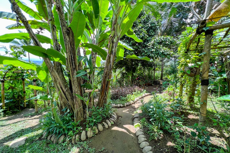 Inside Buahan, Banyan Tree’s first ever Escape resort in Bali - The ...