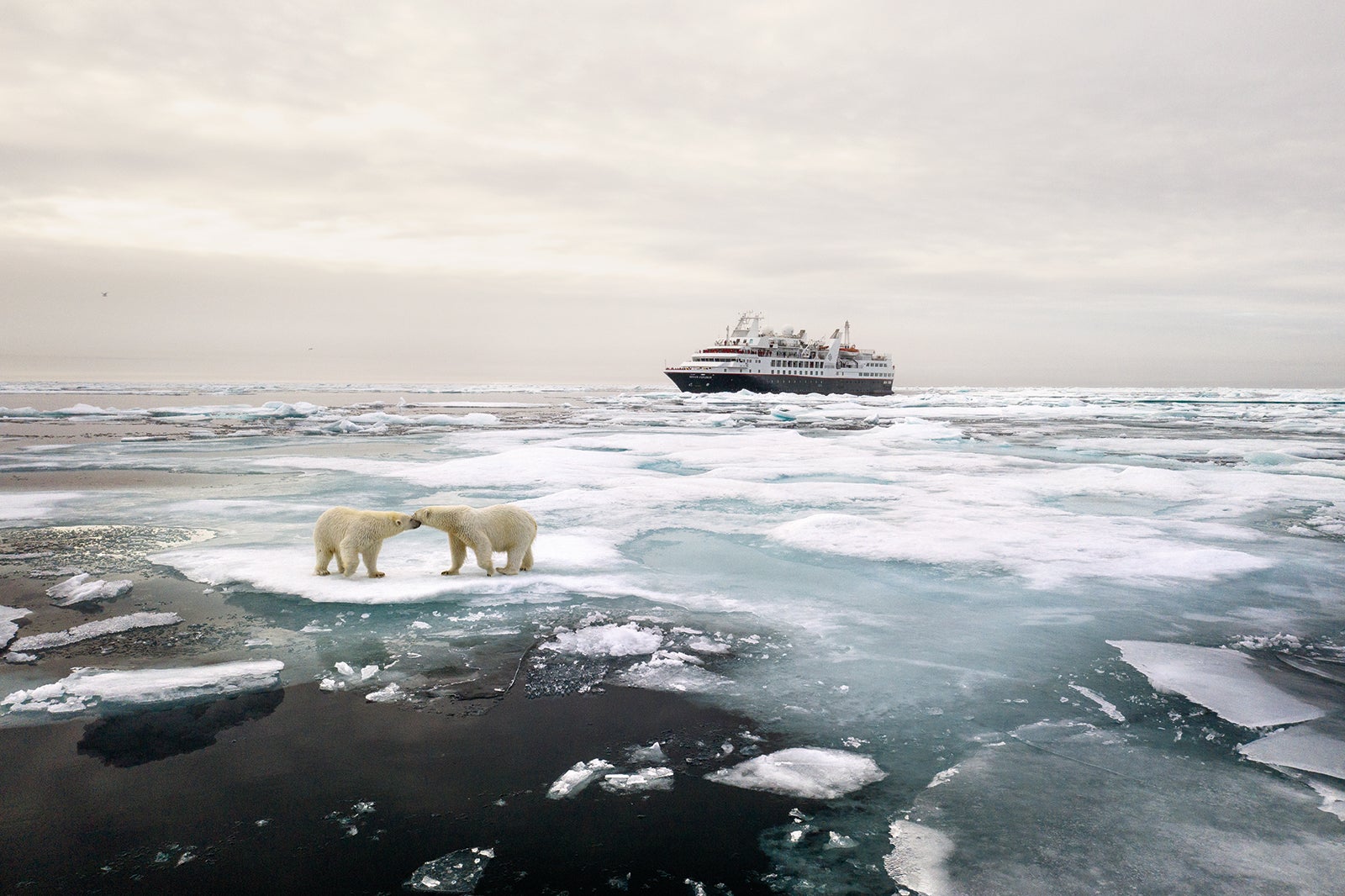 expedition-cruises-the-ultimate-guide-to-cruising-to-remote-hard-to