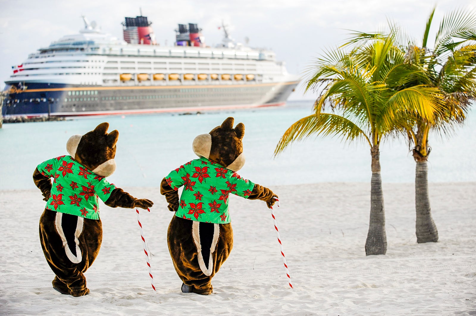 cruise during christmas 2023