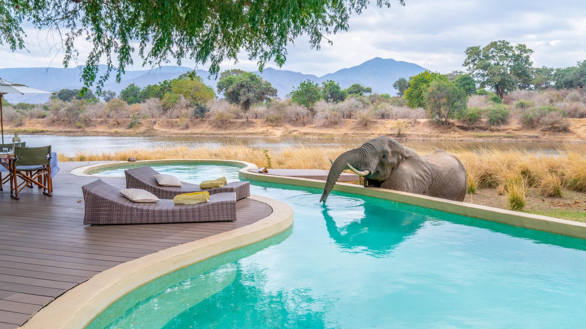 safari lodges for families