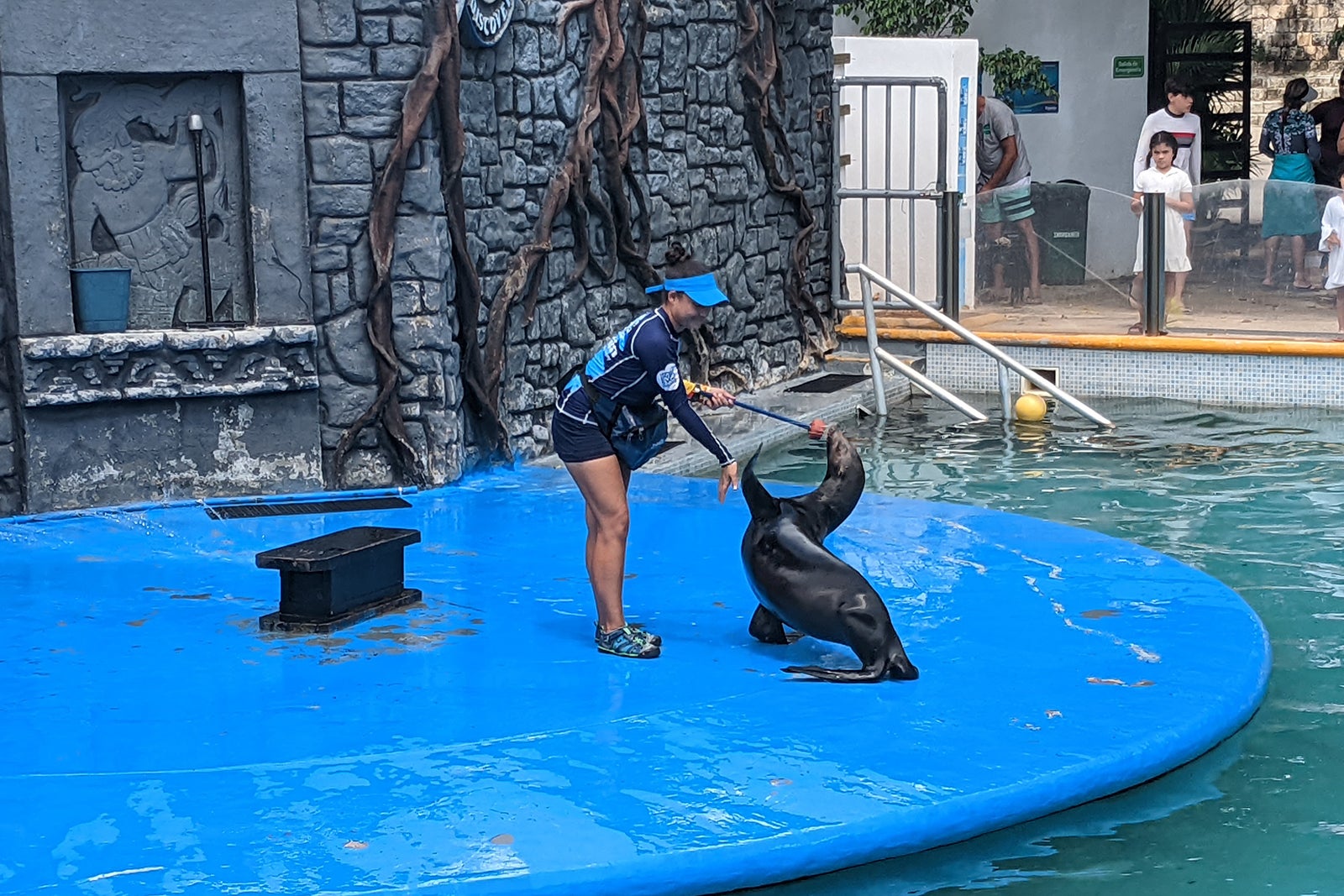 Sea lion show at Chankanaab Beach Park in Cozumel, Mexico