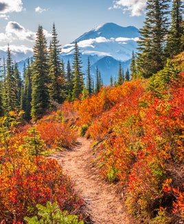 Leaf-peeping season is here: Where to see spectacular fall foliage across the US in 2024