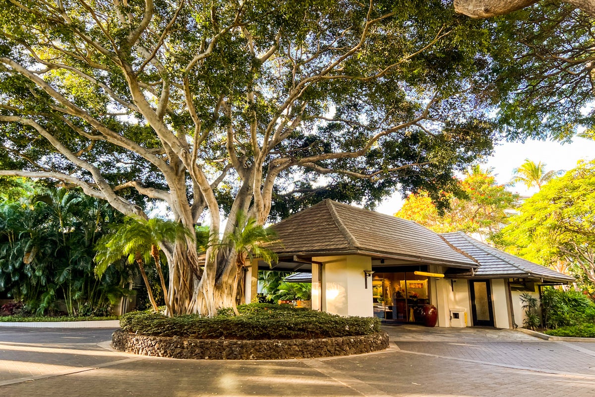 Maui magnificence A review of Kaanapali Alii, a Destination by Hyatt Residence The Points Guy