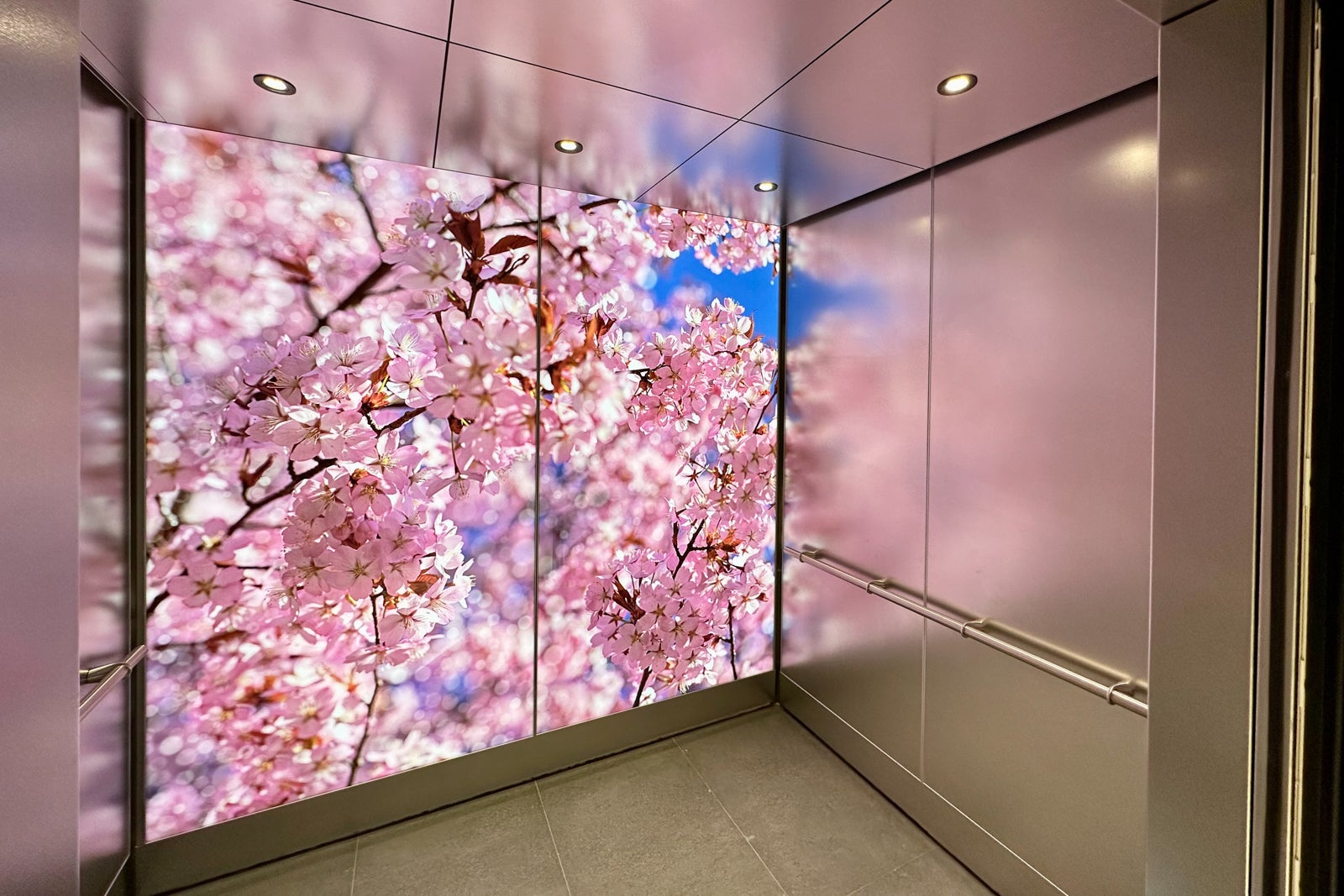 Inside American's stunning new DCA Admirals Club, the first of its kind