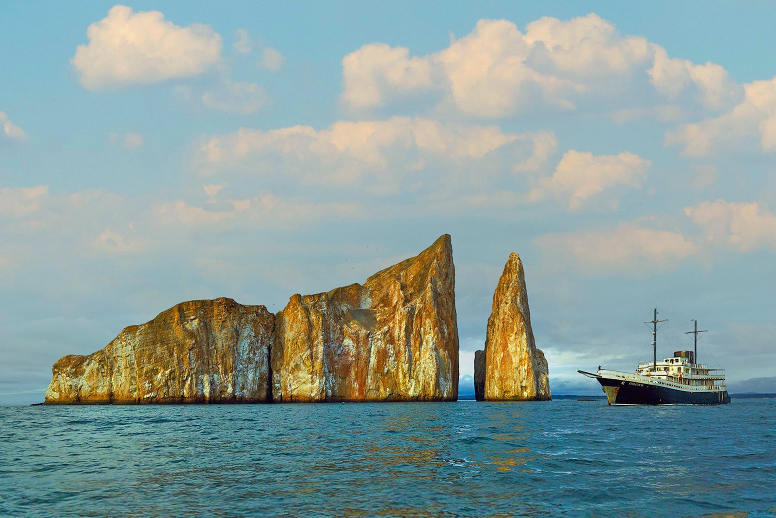 Best Galapagos cruises for an epic wildlife adventure of a lifetime The Points Guy