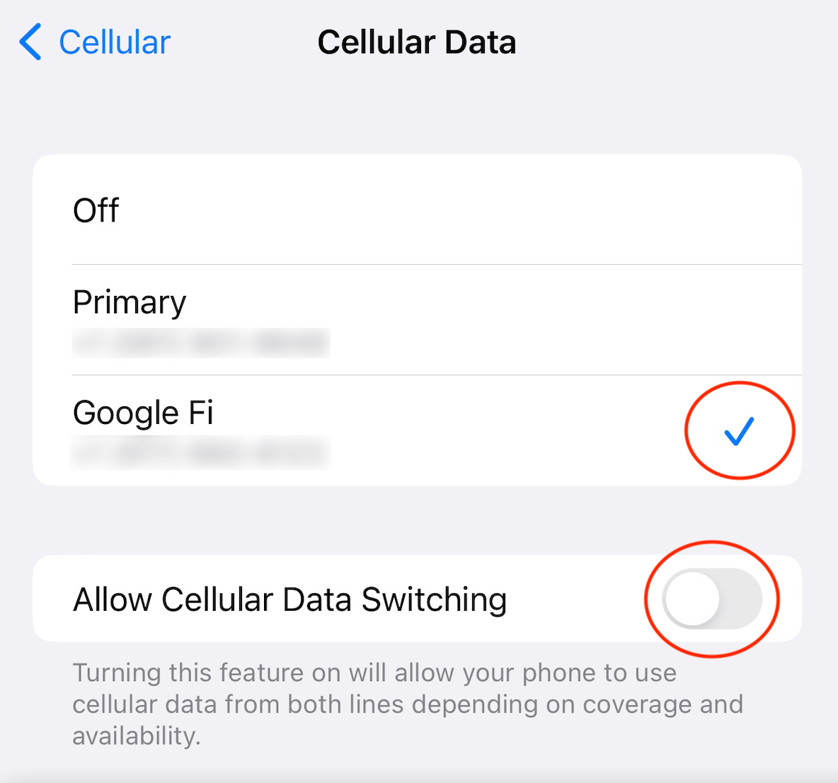 us cellular international charges