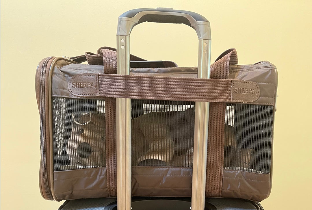 Puppy tested Two paws up for the Sherpa Original Deluxe pet carrier The Points Guy