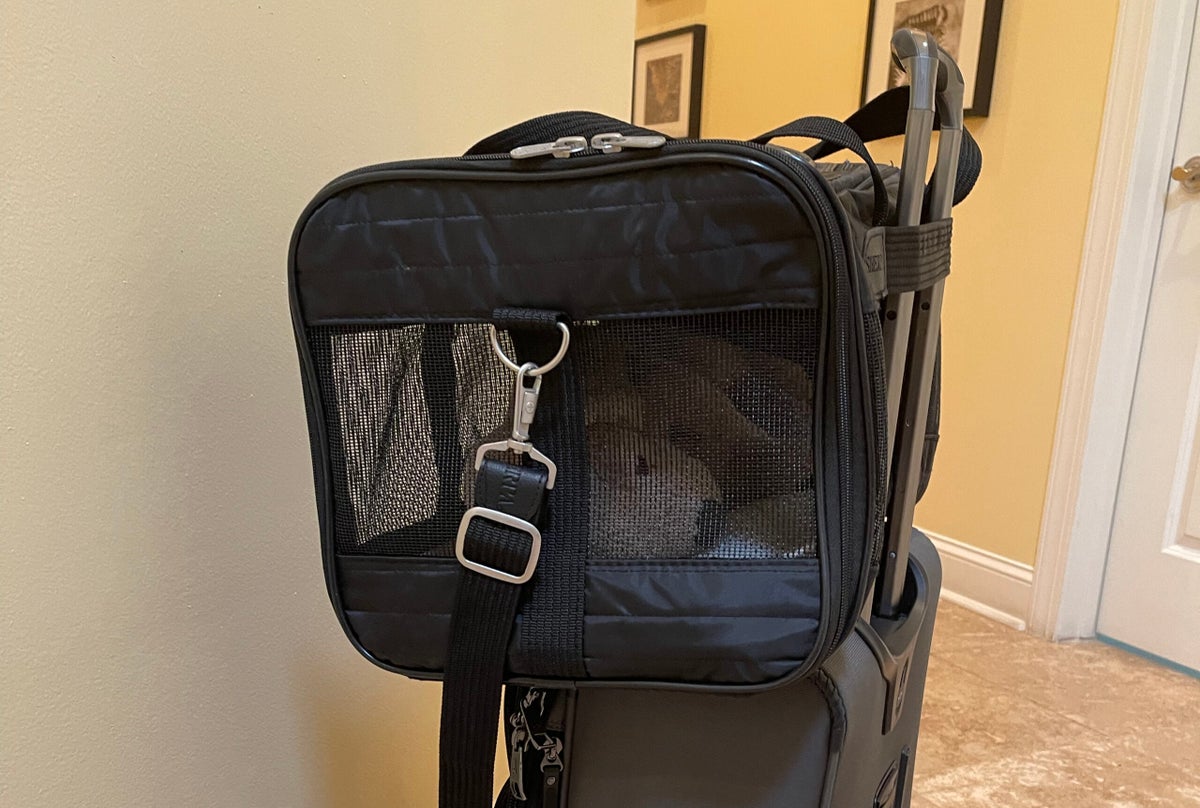 Puppy tested Two paws up for the Sherpa Original Deluxe pet carrier The Points Guy