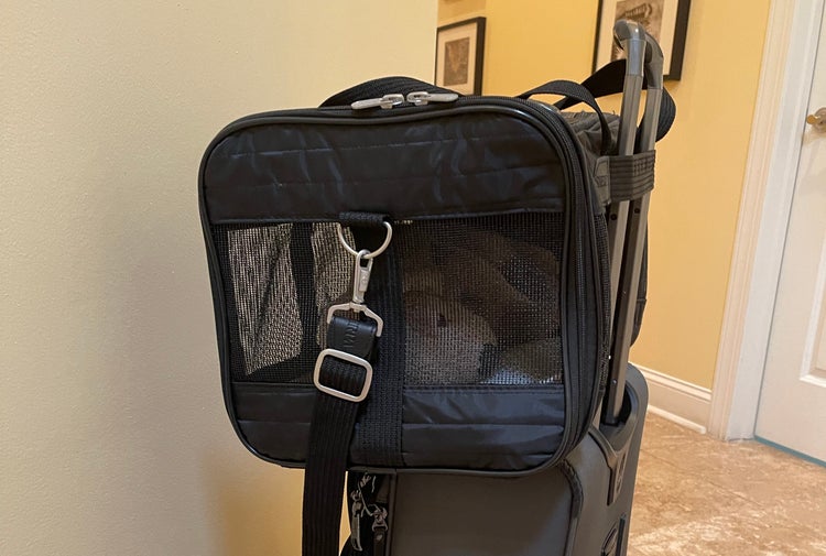 Puppy tested Two paws up for the Sherpa Original Deluxe pet carrier