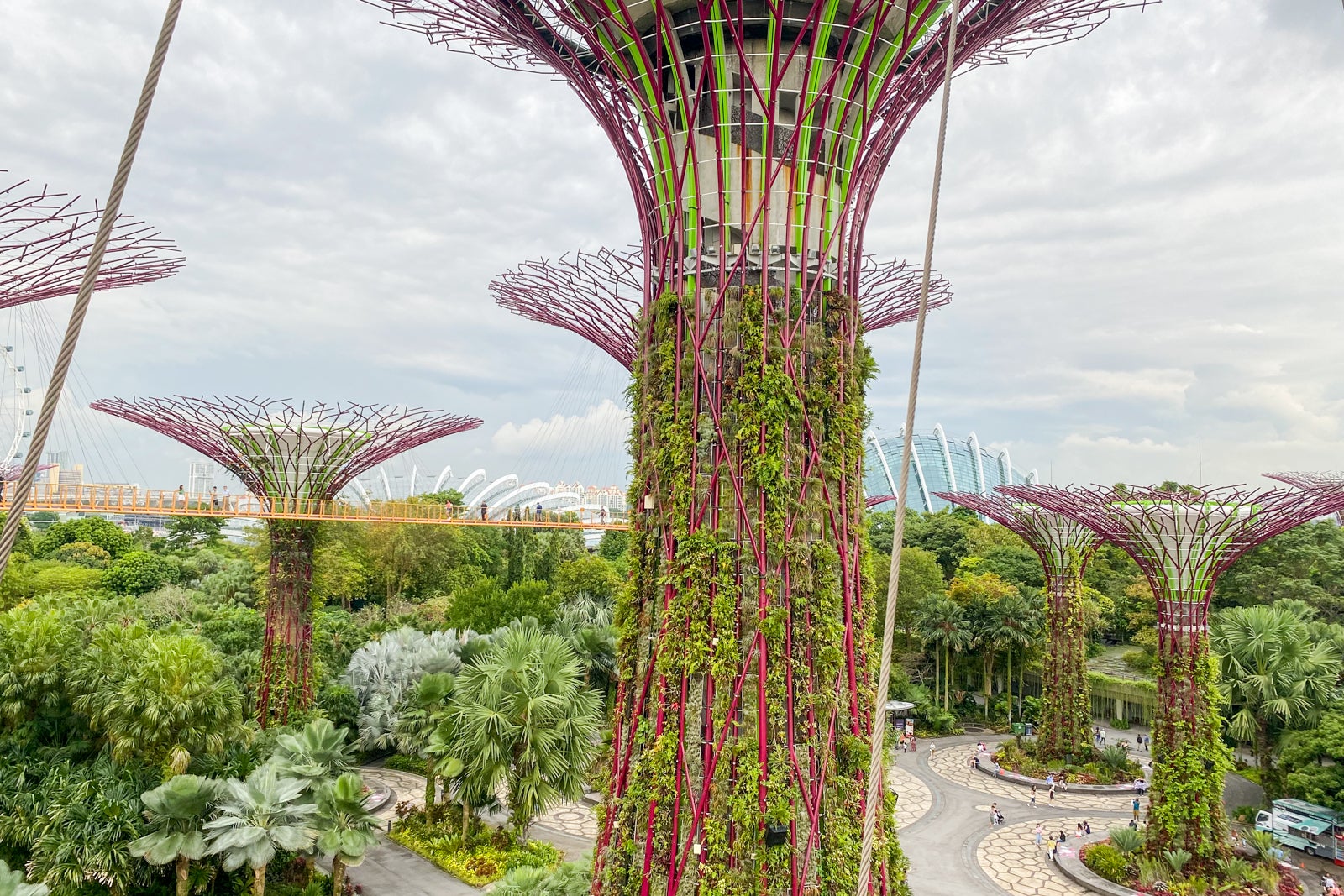 Walking Tour: Changi Airport Terminal 2 (Partial Re-opening)