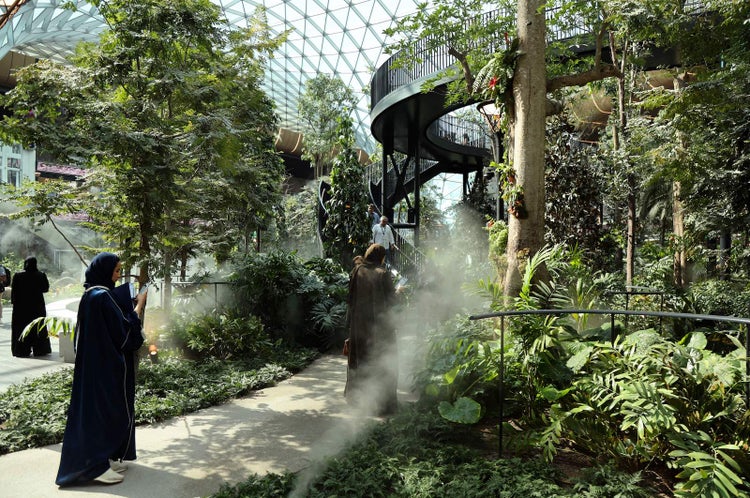 Doha's Hamad Airport unveils massive indoor garden as part of expansion ...