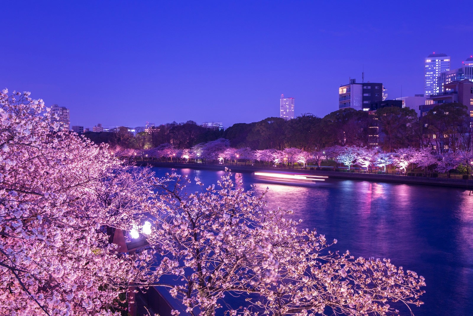 cruise deals may 2023