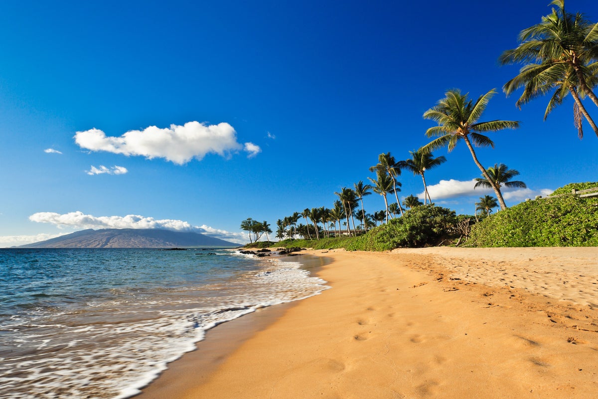 Book a roundtrip flight to Maui for 15,000 SkyMiles The Points Guy