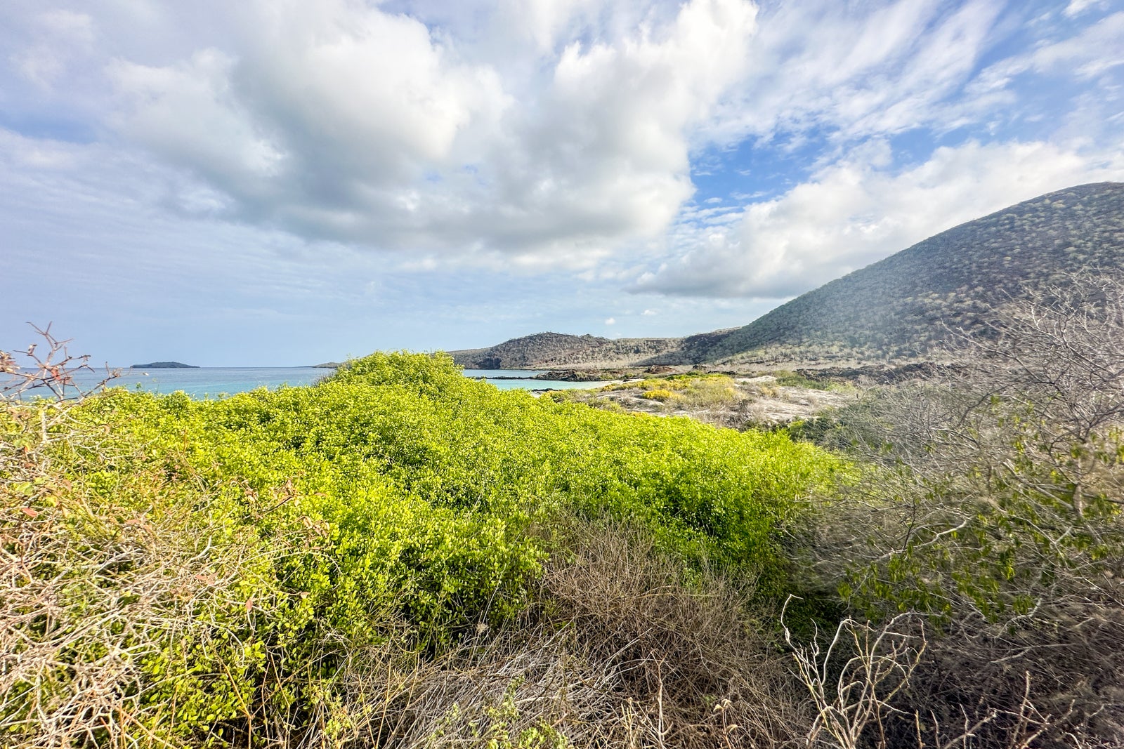 cruise around galapagos islands