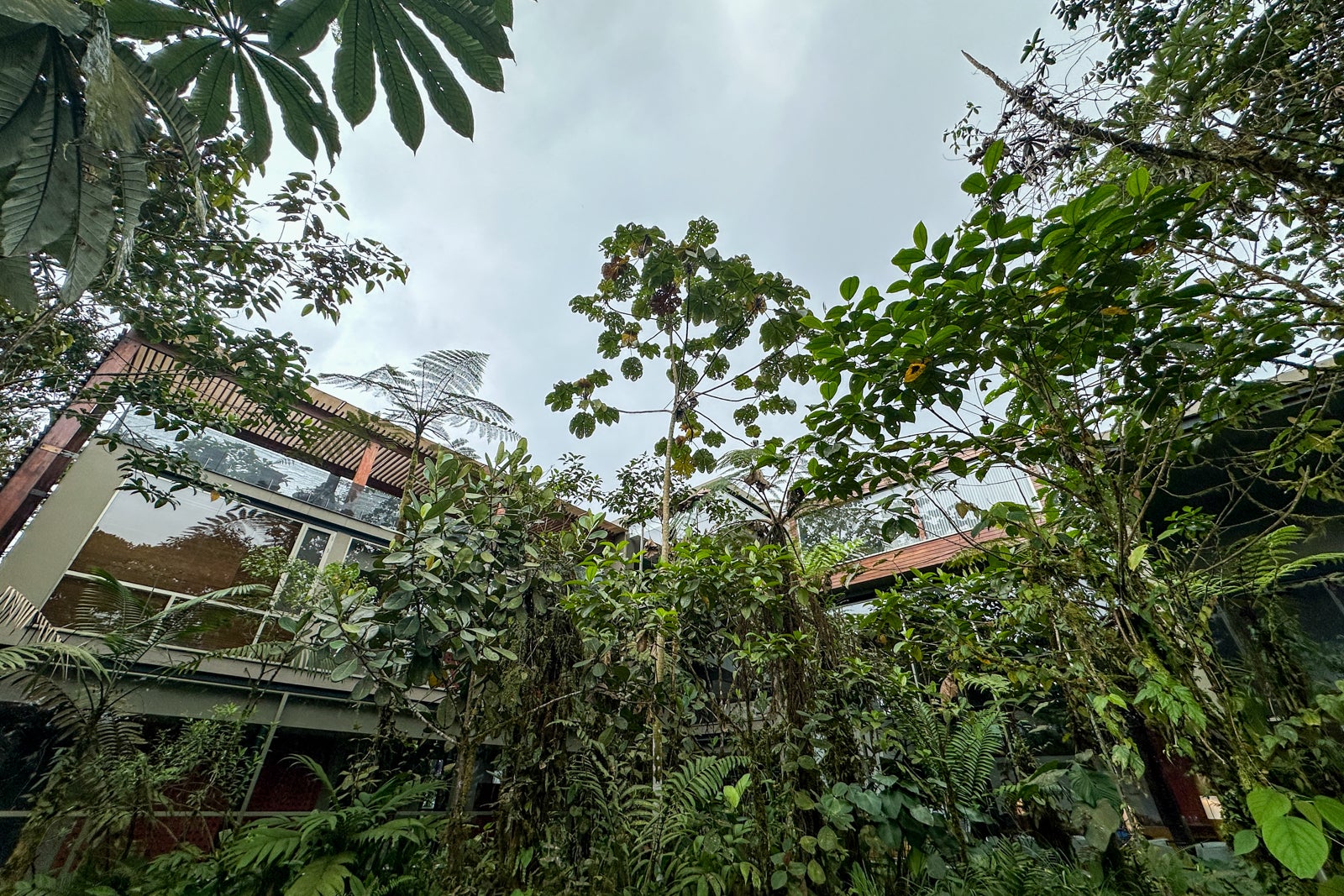 Galapagos Cloud Forest Resort