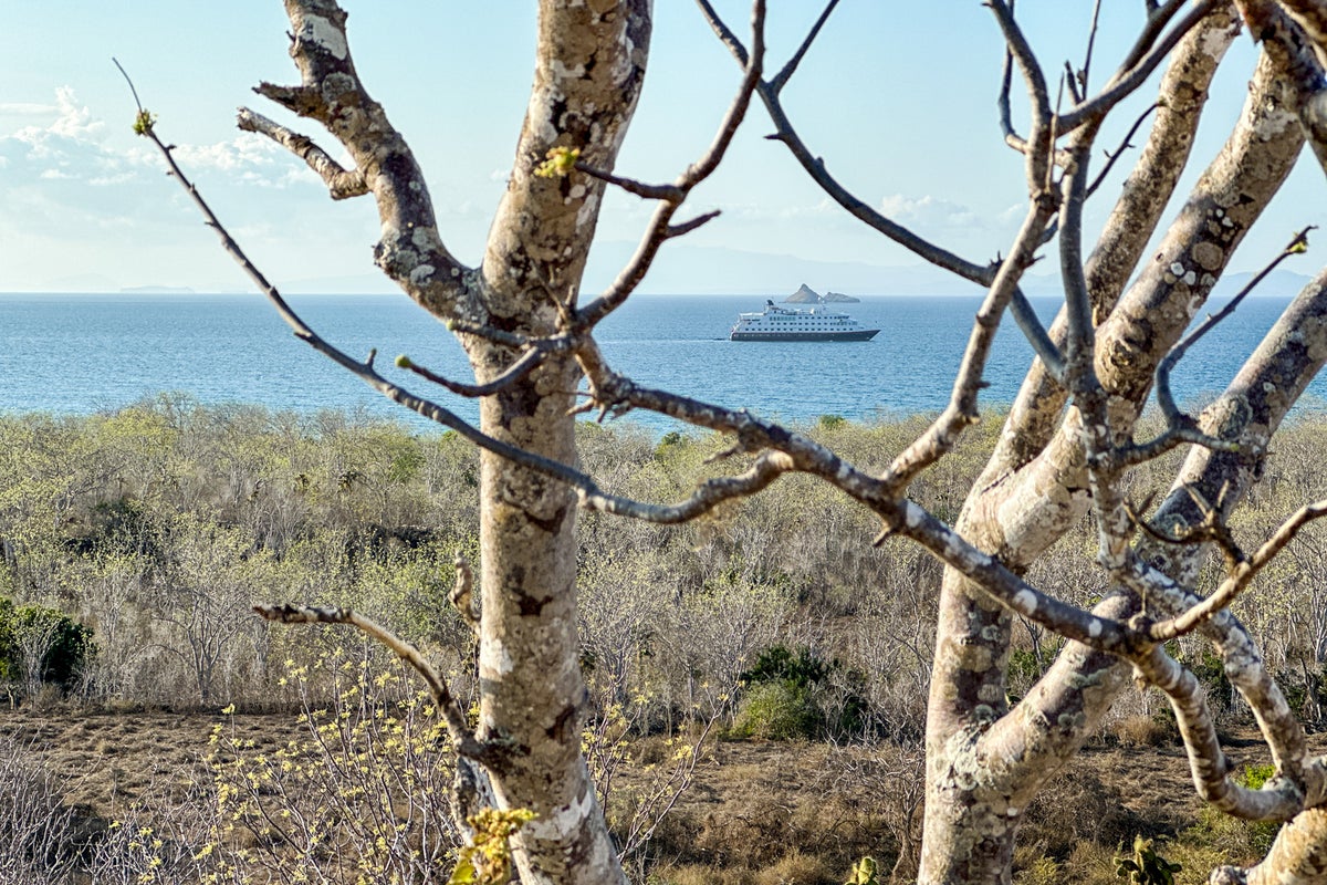 Galapagos cruise guide Itineraries, planning tips and things to do The Points Guy