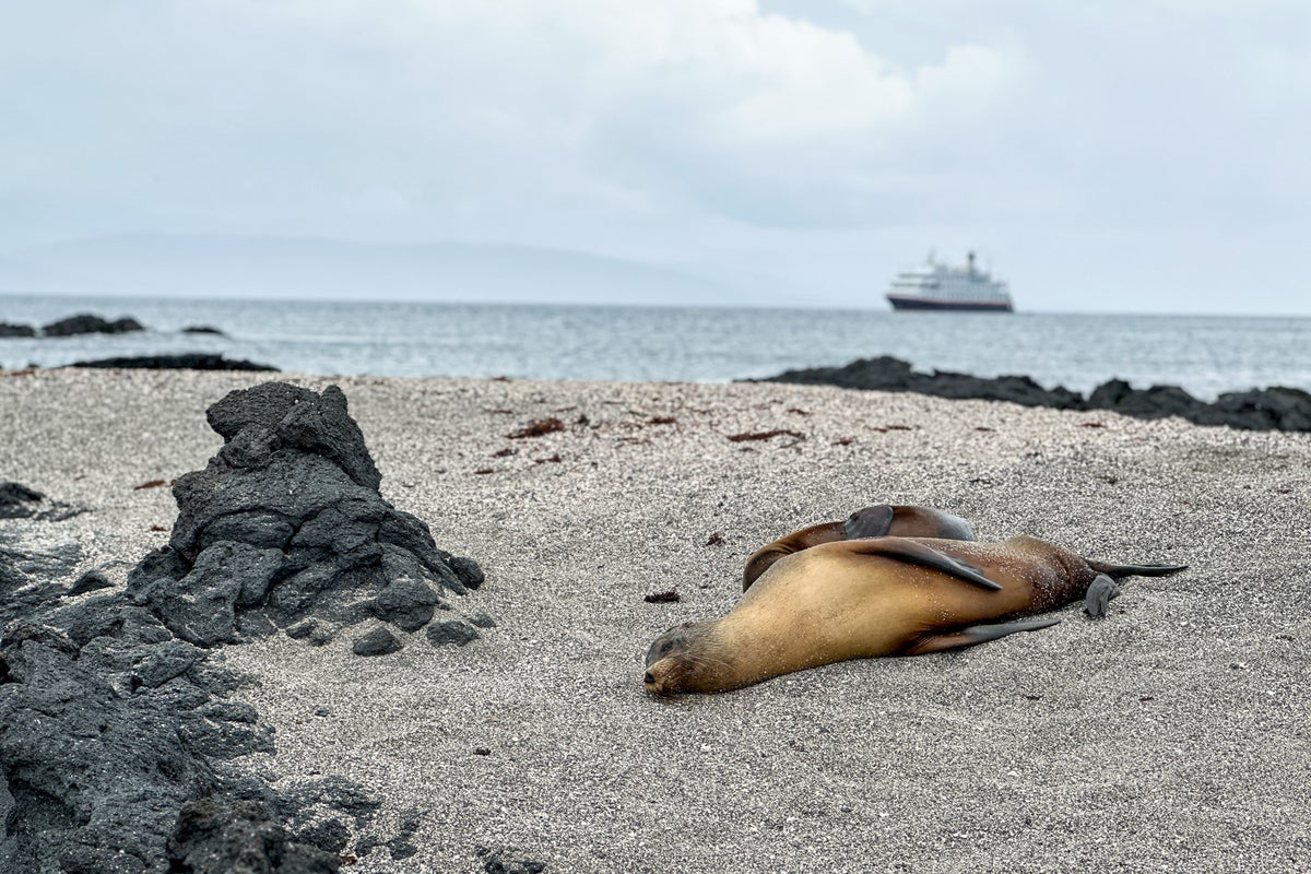 Galapagos cruise guide Itineraries, planning tips and things to do The Points Guy