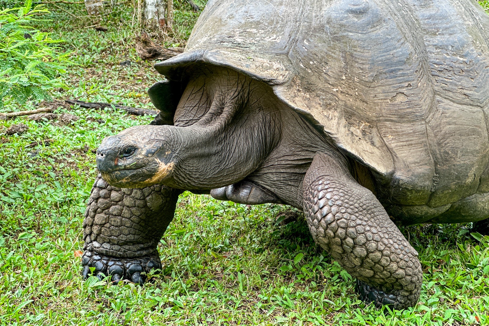 My first cruise to the Galapagos The good, the bad and the absolutely adorable The Points Guy