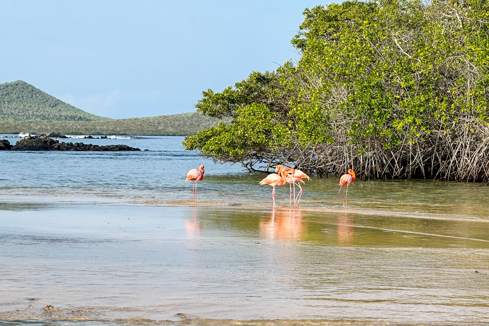 Galapagos cruise guide Itineraries, planning tips and things to do The Points Guy