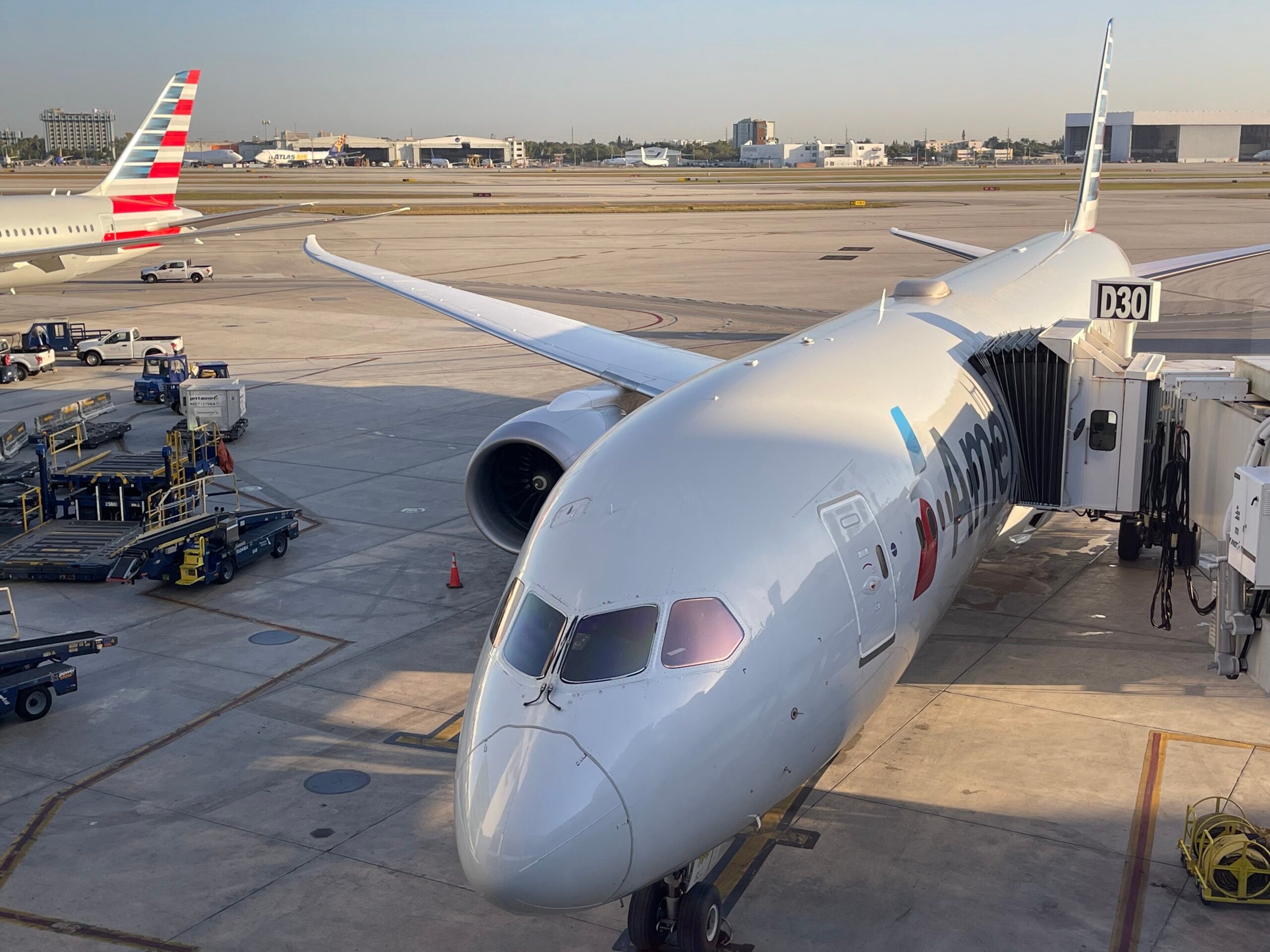 What you need to know about American Airlines lifetime flight status - The  Points Guy