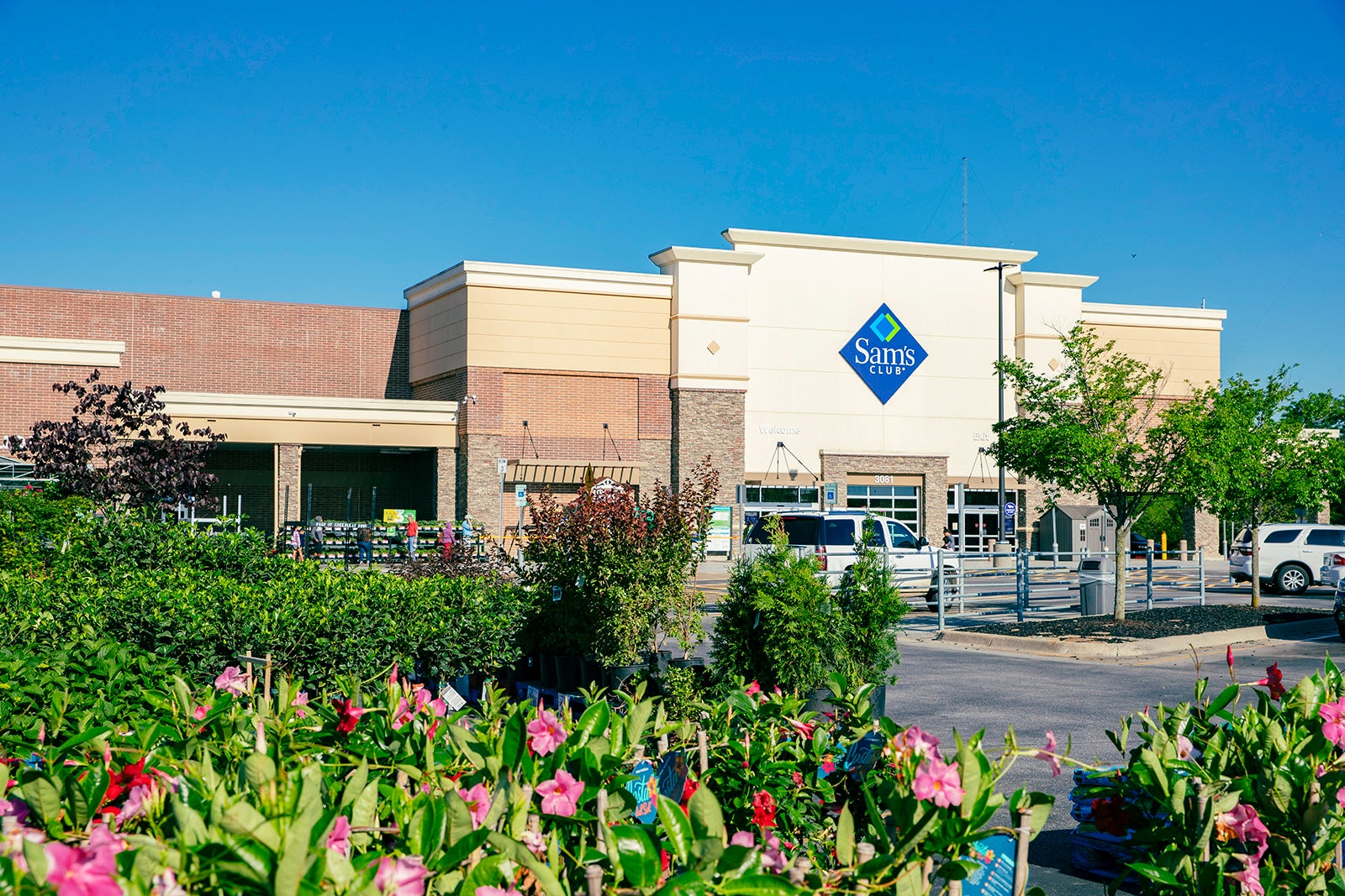 Sam s club mastercard review full details the points guy