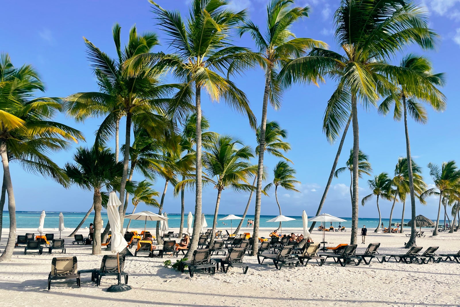 Hyatt Zilara Cap Cana Resort Overview