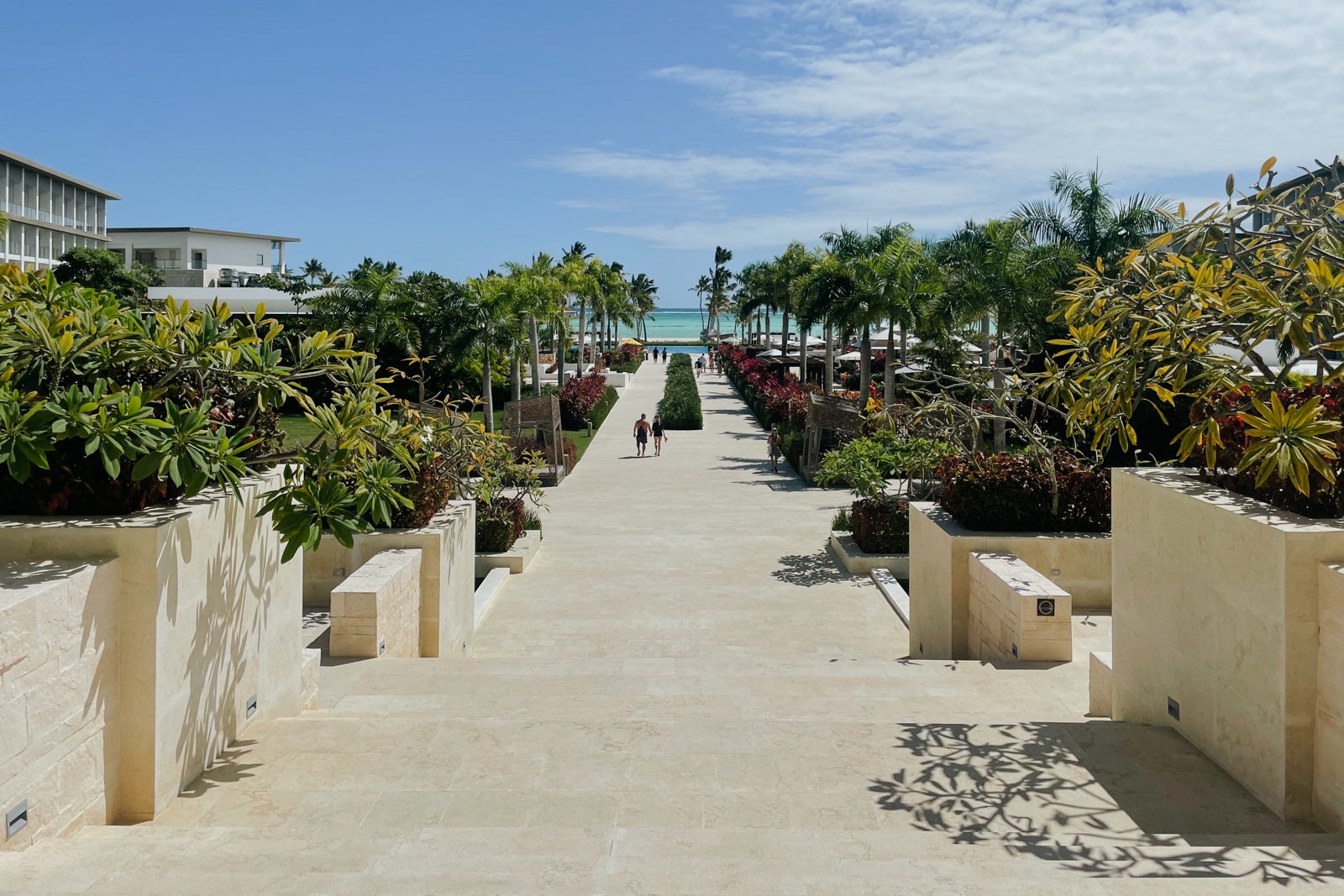 Hyatt Zilara Cap Cana Hotel Review - The Points Guy