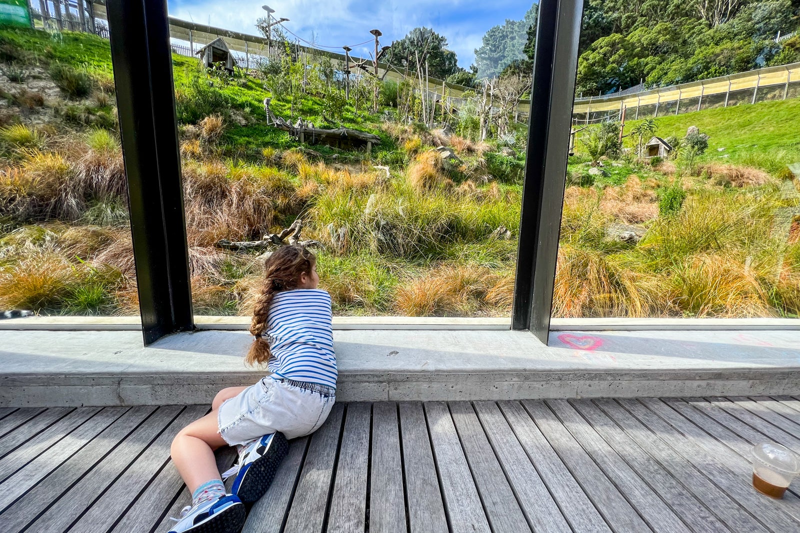 7 tips and mistakes to know when planning a family trip to New Zealand -  The Points Guy