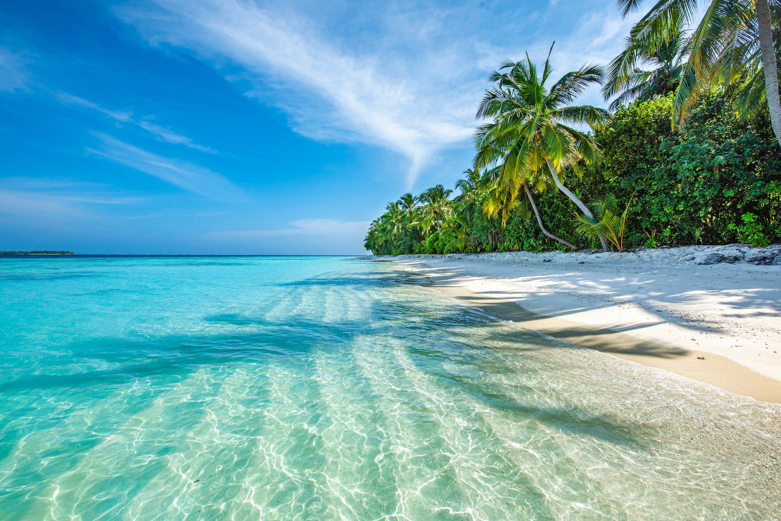 Half Off Premium Economy Flights To The Maldives The Points Guy half-off-premium-economy-flights-to-the-maldives-the-points-guy