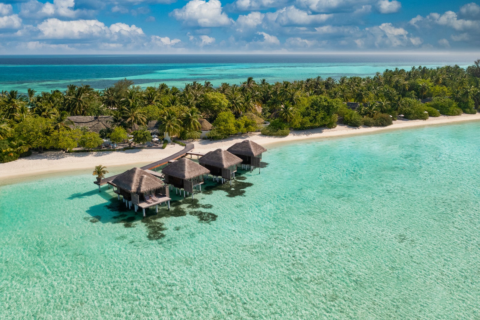 half-off-premium-economy-flights-to-the-maldives-adventurereadyessentials