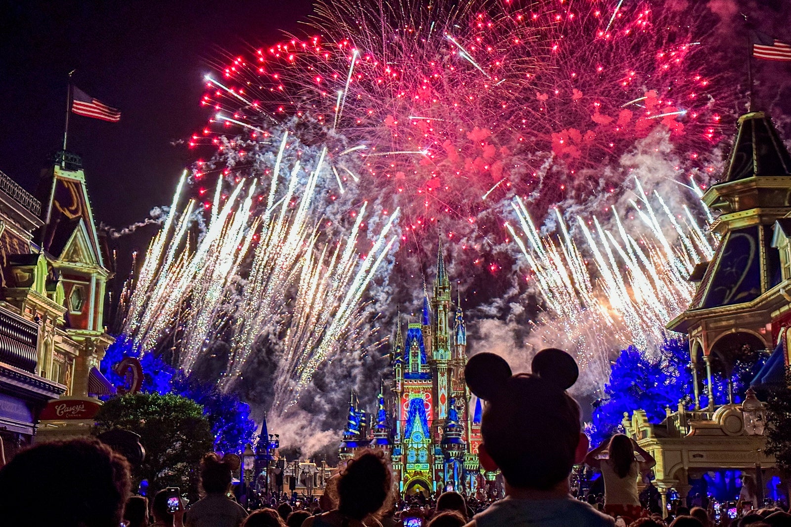 Why you should book your next Disney World trip through a Disney vacation planner