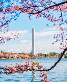 The best Washington, DC, hotels to stay in when visiting the US capital