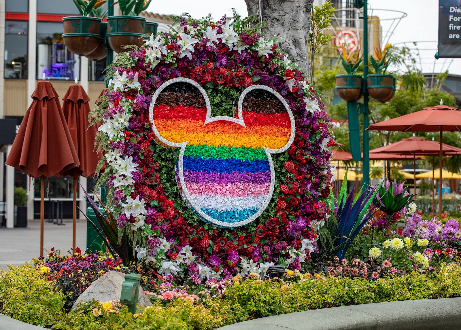 The Disney Pride Collection is here! At #Disneyland, we want our Guests and  Cast Members to see themselves reflected in the Disney…