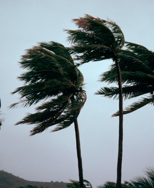 Hurricane season starts this month: TPG’s storm survival guide for travelers
