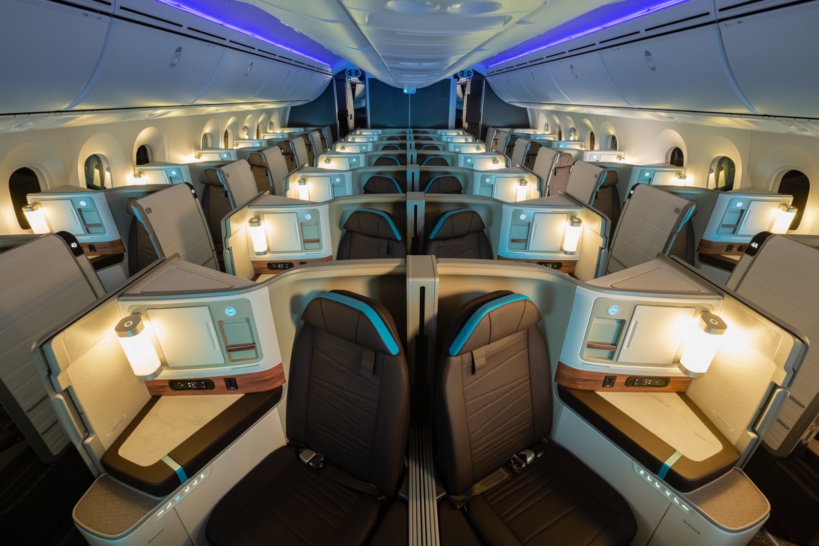 Hawaiian Airlines Boeing 787 Dreamliner Business Class Economy C