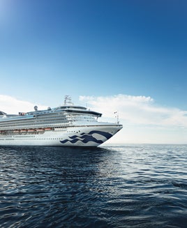 Princess Cruises ships ranked by size from biggest to smallest — the complete list