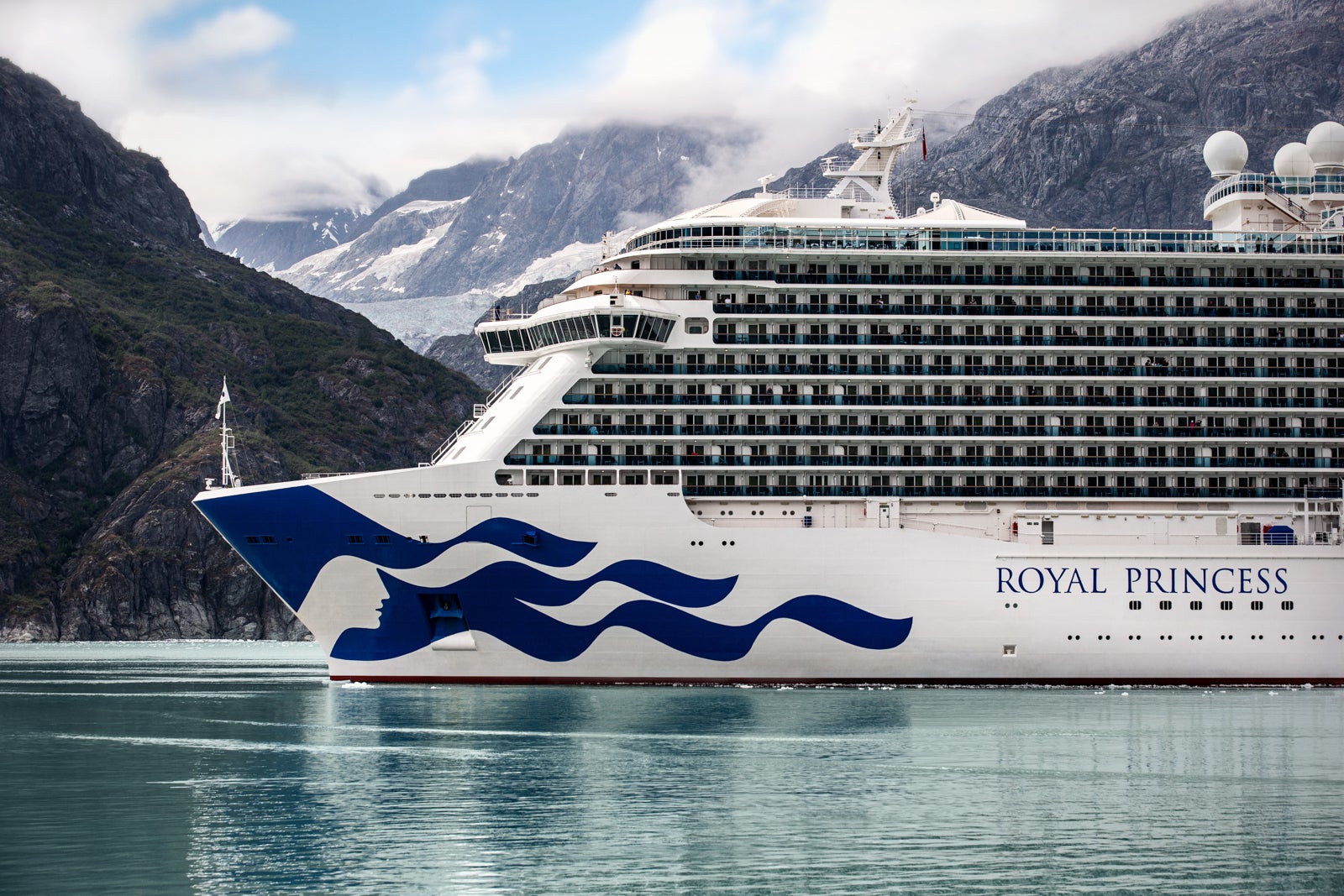 all the cruise ship