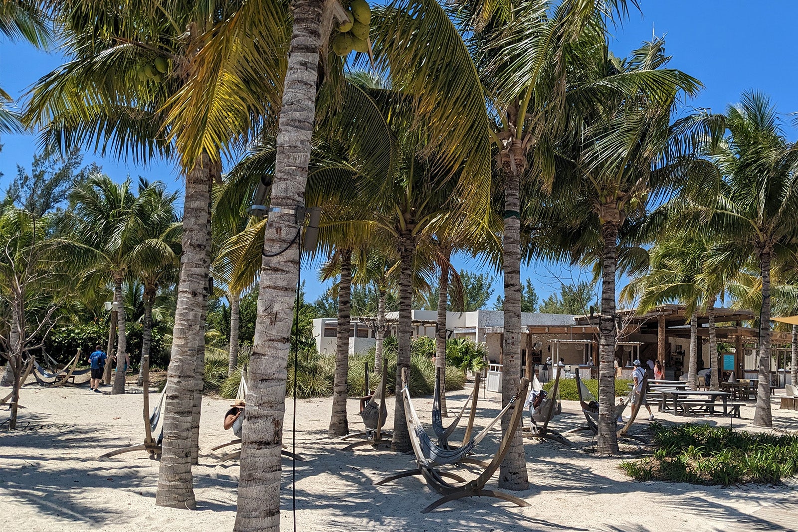 Virgin Voyages Bimini Beach Club In The Bahamas The Ultimate Guide   Bimini Hammocks 