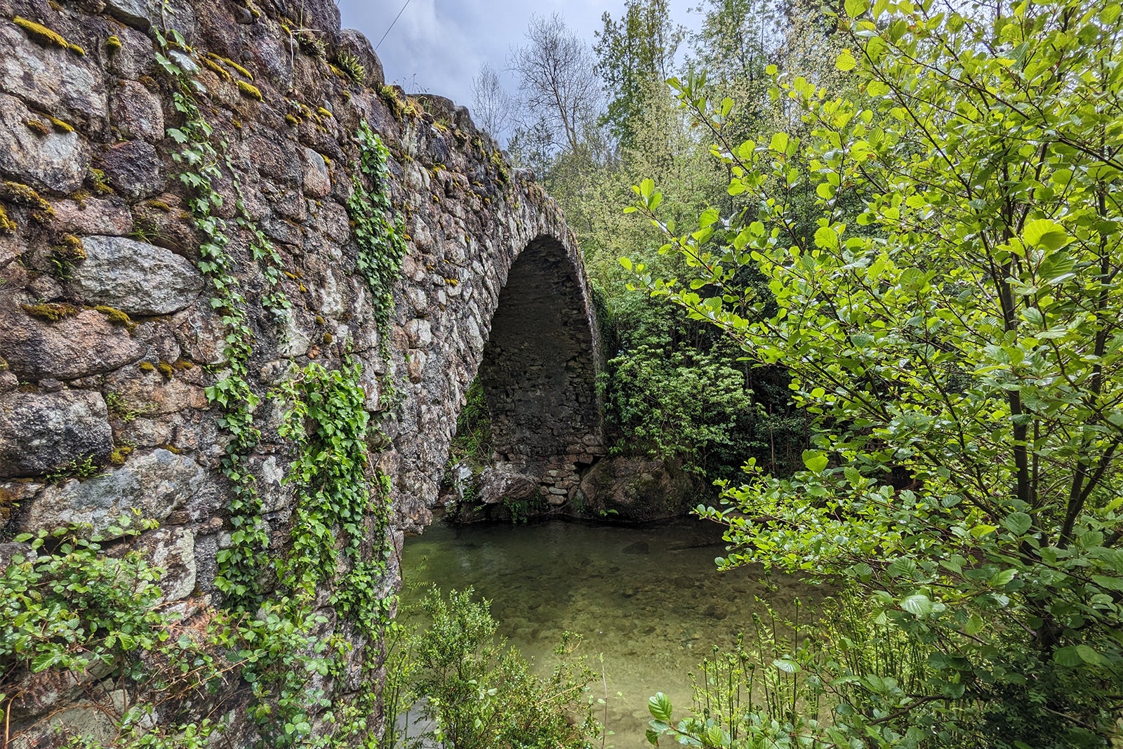 silverstein corsica tour bridge