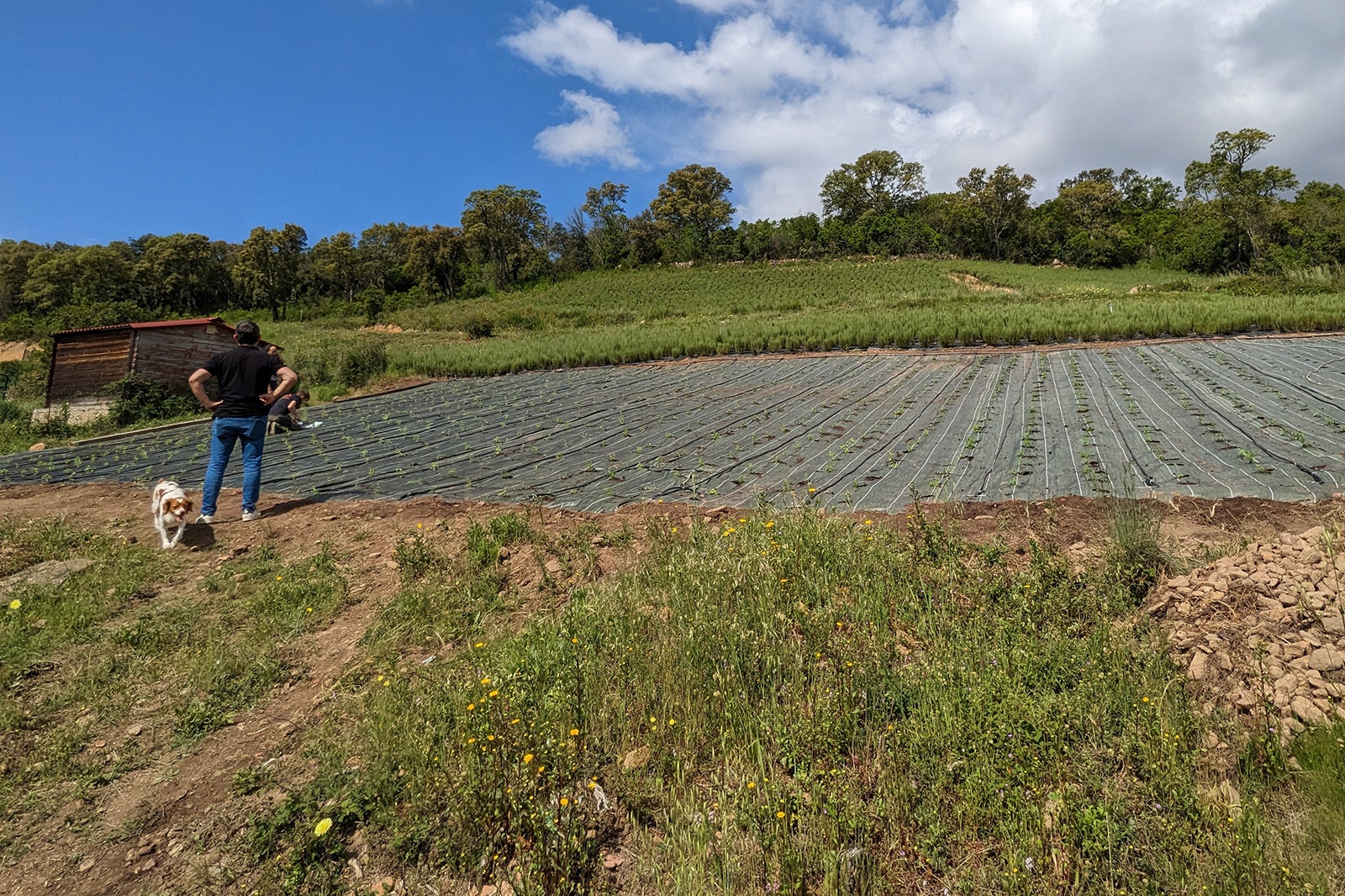 We skipped the cruise ship excursion and went with ToursByLocals — here